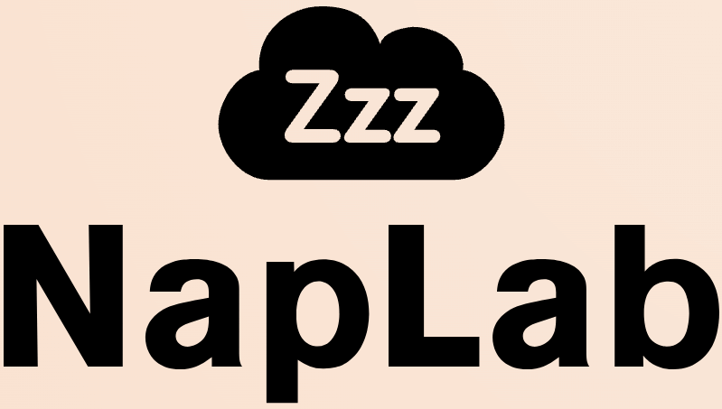 NapLab Logo